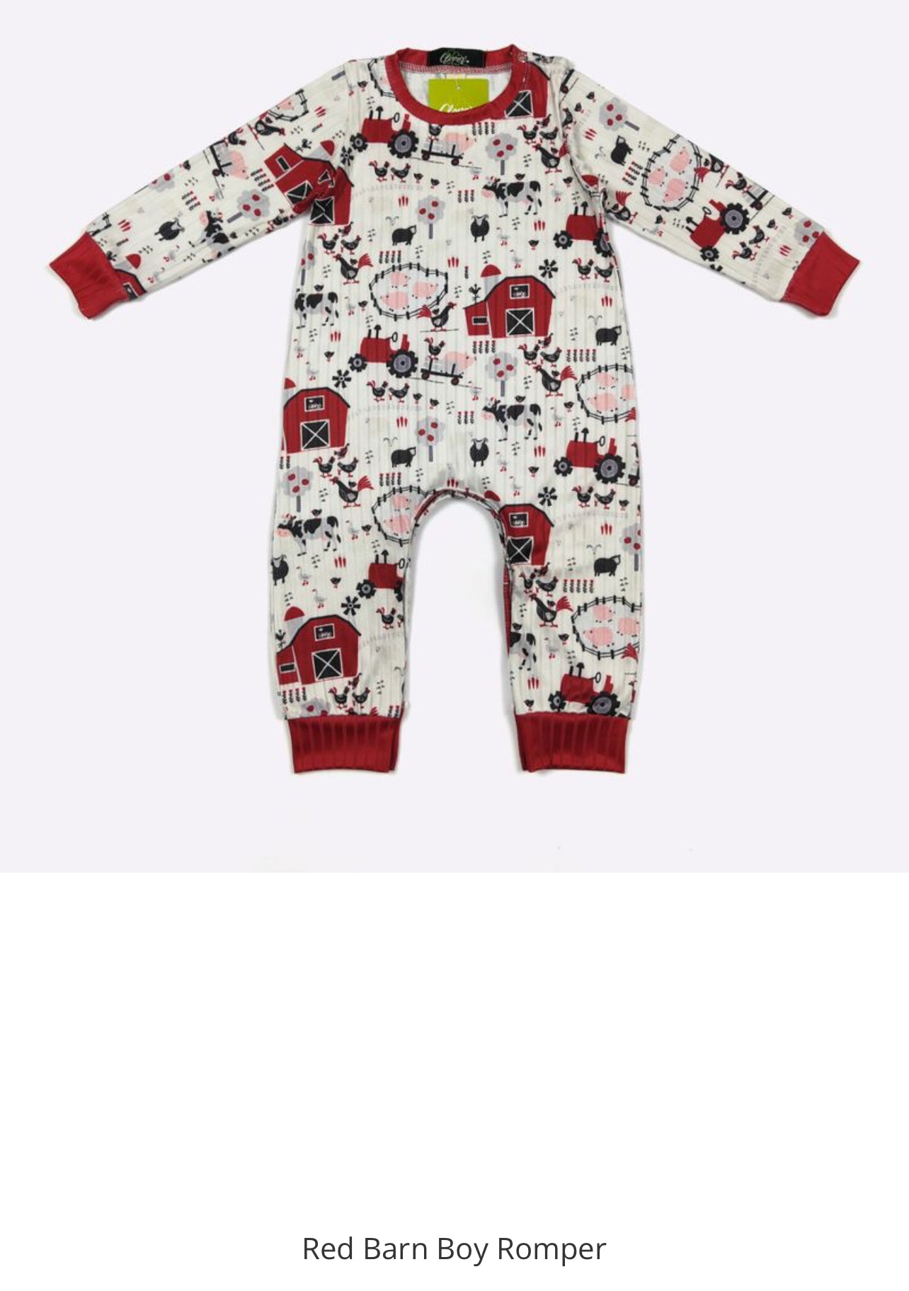 Infant Boy Rompers In assorted Themes