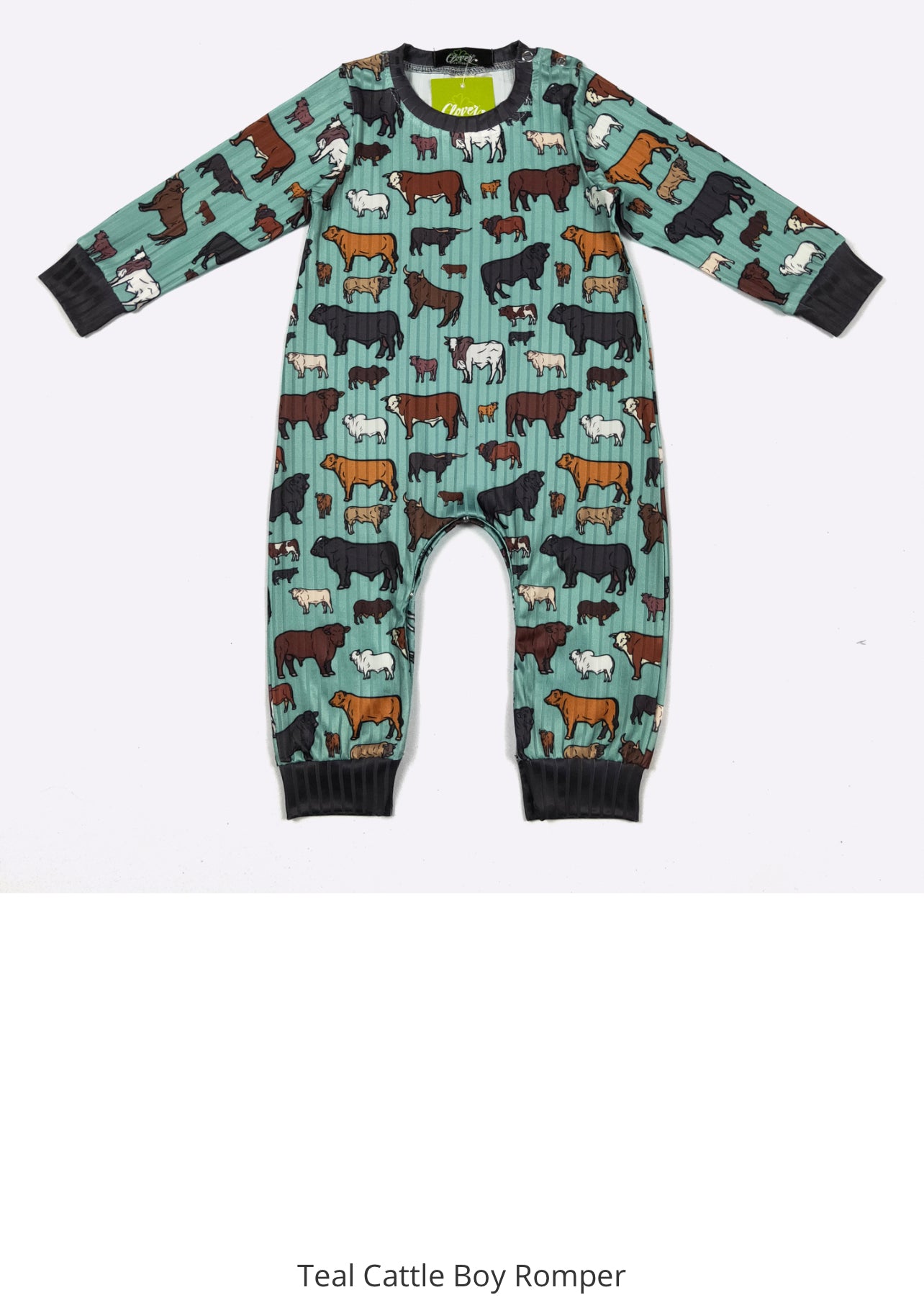 Infant Boy Rompers In assorted Themes