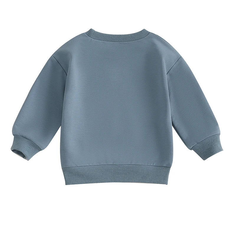 Baby and toddler boys' long sleeve pullover with big brother letter print, in blue, by August + Willow, suitable for autumn.