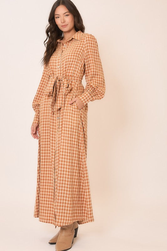 Gingham long sleeve button-down tie waist maxi dress from Cozy Co, featuring a classic pattern and relaxed fit.