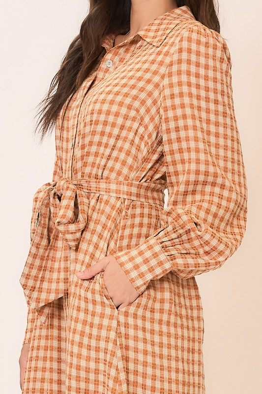 Gingham long sleeve button-down tie waist maxi dress by Cozy Co, featuring a classic pattern and flowing silhouette.