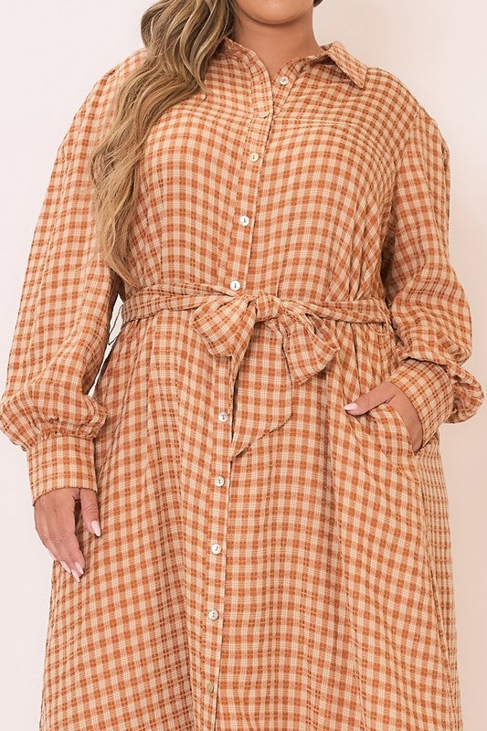 Gingham long sleeve button-down tie waist maxi dress by Cozy Co, featuring a relaxed fit and classic pattern, perfect for casual wear.