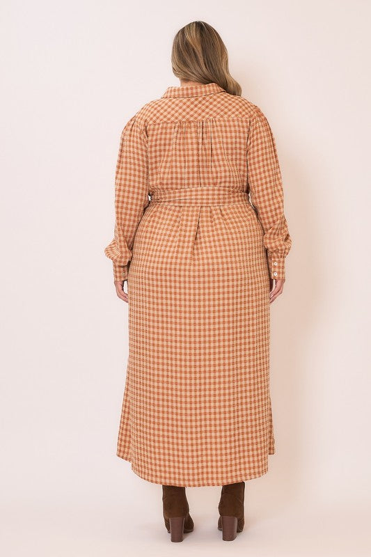 Gingham long sleeve button-down tie waist maxi dress by Cozy Co, shown on a model with a flowing skirt and classic pattern.
